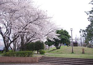 埼玉県吉川市関公園