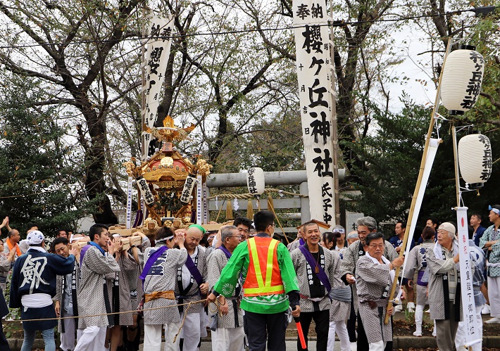 櫻ヶ丘神輿(提供:櫻舞會)