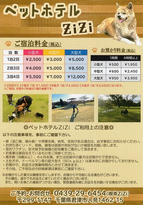 【君津市】サービス精神満点すぎ！愛犬と行ける「喫茶ZiZi」は犬連れでなくても癒されるカフェ