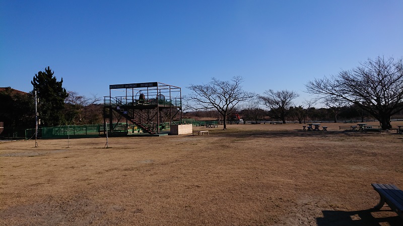 【君津市】サービス精神満点すぎ！愛犬と行ける「喫茶ZiZi」は犬連れでなくても癒されるカフェ