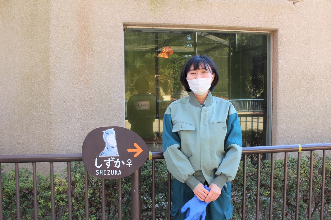 ☆ハシビ口コウ☆ 千葉市動物公園】ハシビロコウの「しずか」ちゃんと「じっと」君