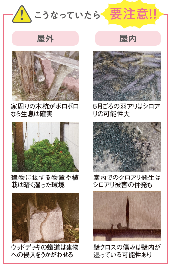千葉県のシロアリ駆除・予防