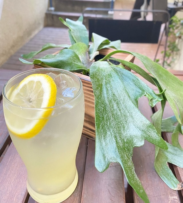 【習志野市】津田沼の隠れ家カフェ「the little monster coffee」