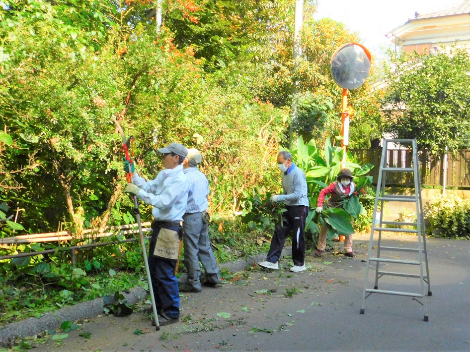 【船橋市】緑豊かな自然環境を守り育てるボランティア団体「丸山サンクチュアリ」