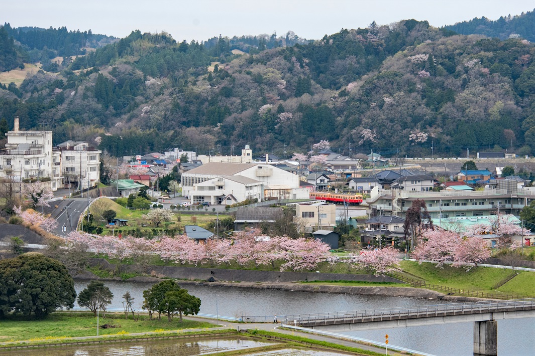 「高滝湖」周辺エリアを楽しもう!