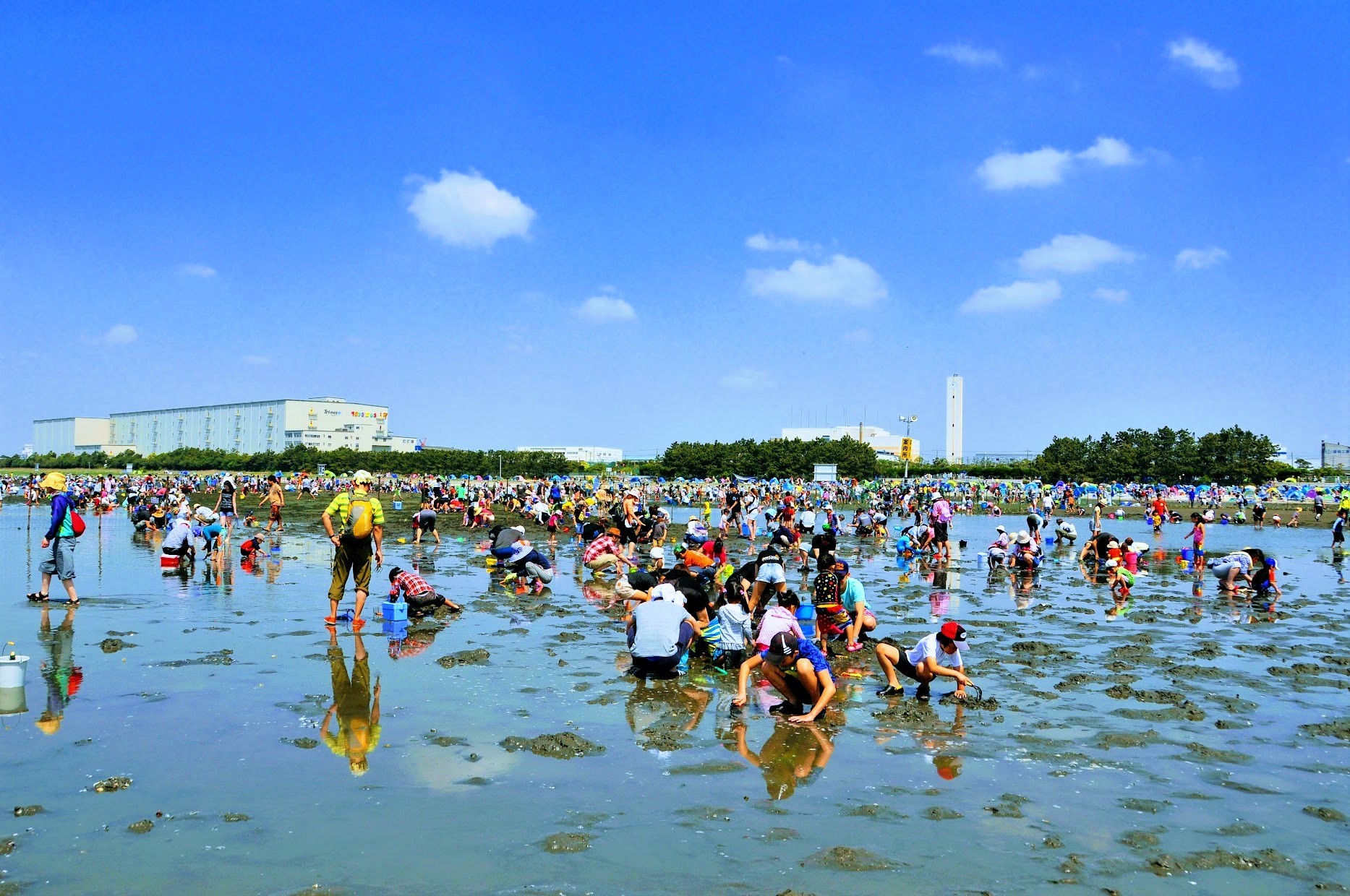 【船橋市】ふなばし三番瀬海浜公園のバーベキュー広場&潮干狩り
