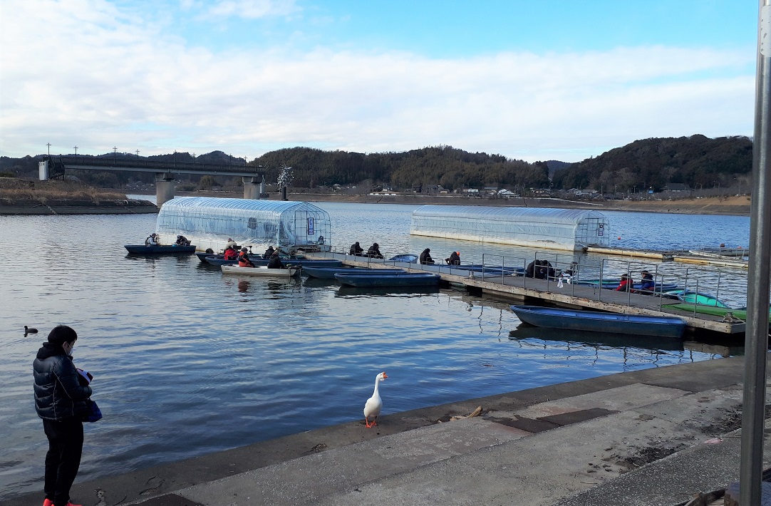 「高滝湖」周辺エリアを楽しもう!