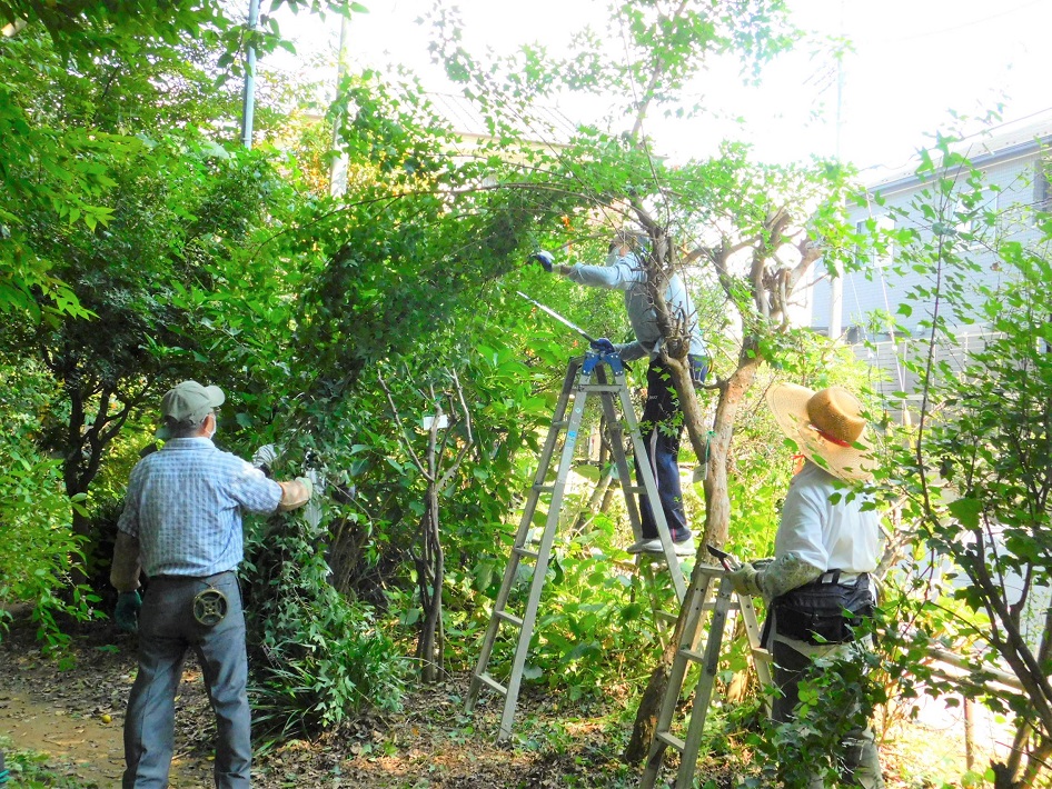 【船橋市】緑豊かな自然環境を守り育てるボランティア団体「丸山サンクチュアリ」