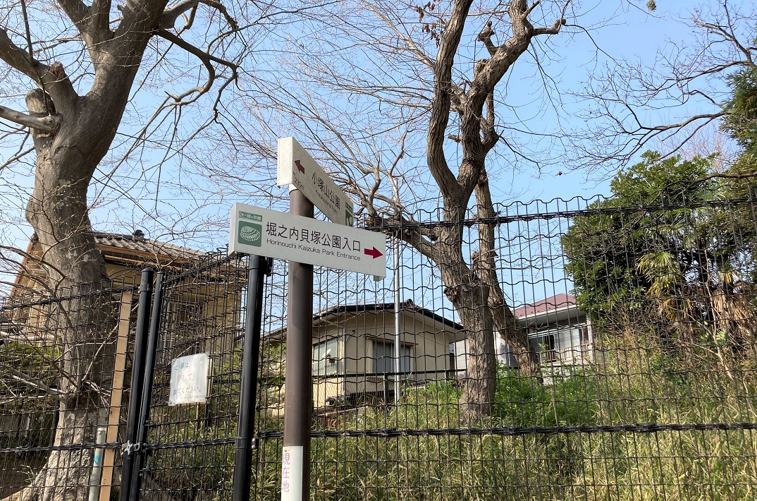 【市川市】小塚山公園（どうめき谷津）