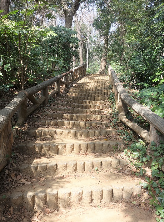 【市川市】小塚山公園（どうめき谷津）