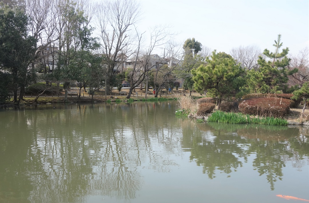 【市川市】小塚山公園（どうめき谷津）