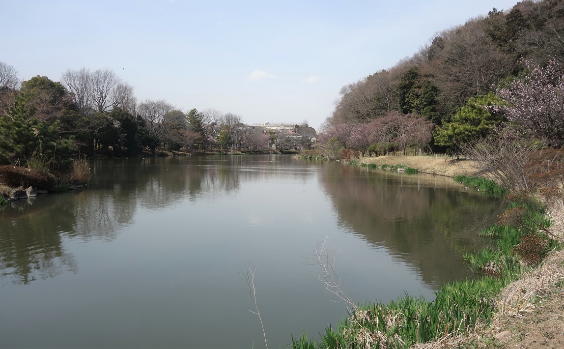 【市川市】小塚山公園（どうめき谷津）