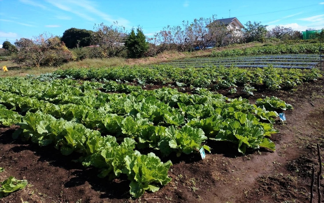 「あきもとふぁーまーず」の力久 智さん【鎌ケ谷市】