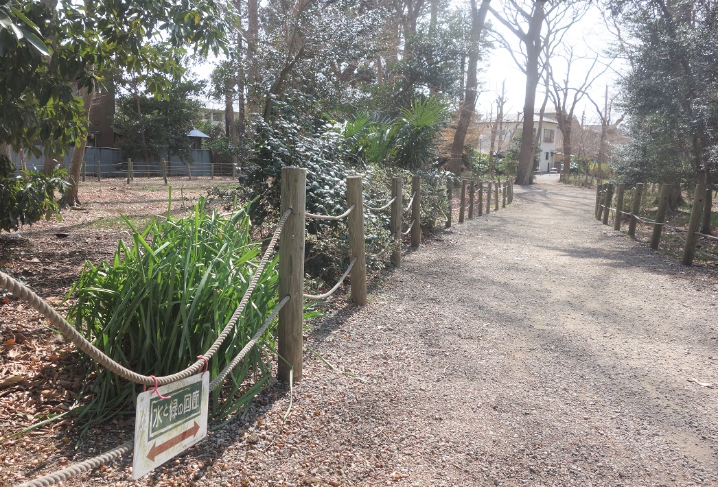 【市川市】小塚山公園（どうめき谷津）