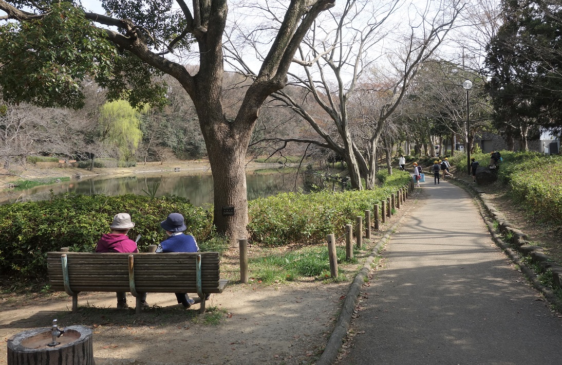 【市川市】小塚山公園（どうめき谷津）