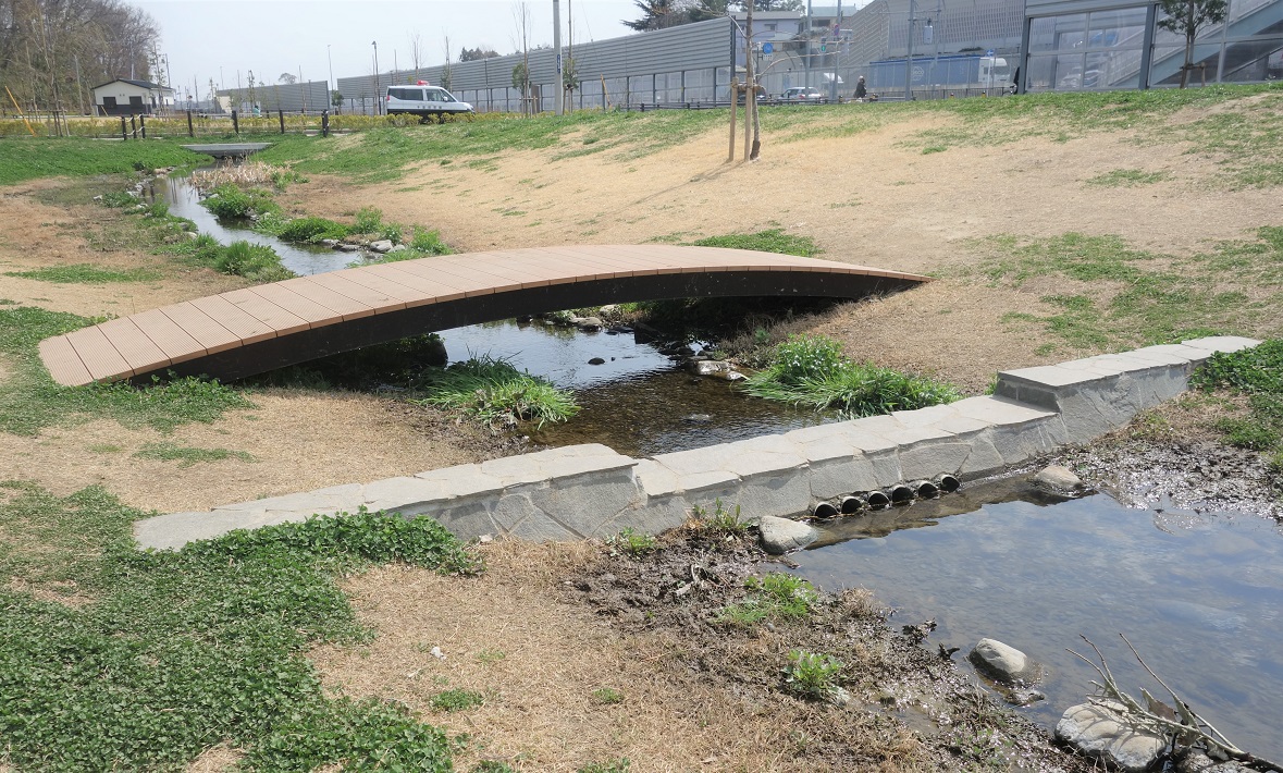 【市川市】小塚山公園（どうめき谷津）