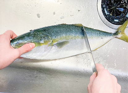 魚を自分でおろそう！イナダの三枚おろしのレシピ・作り方