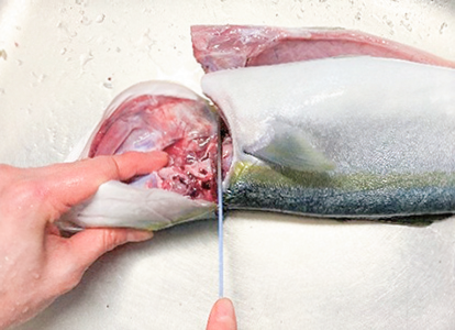 魚を自分でおろそう！イナダの三枚おろしのレシピ・作り方