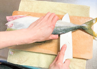 魚を自分でおろそう！イナダの三枚おろしのレシピ・作り方