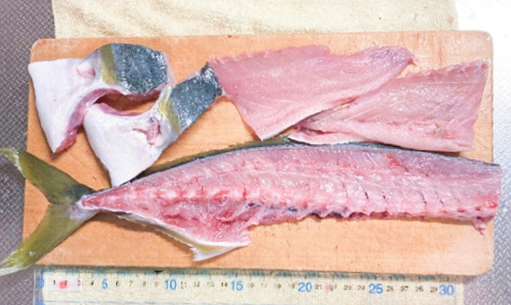 魚を自分でおろそう！イナダの三枚おろしのレシピ・作り方