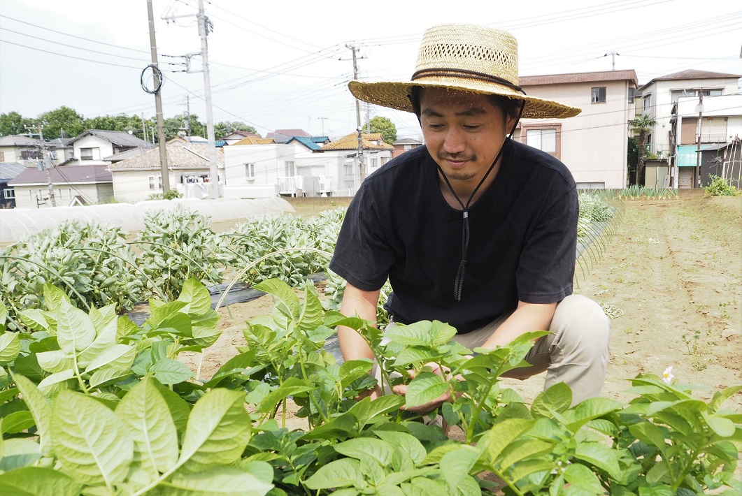 自動販売機の野菜直売所「Vege Rhythm（ベジリズム）」