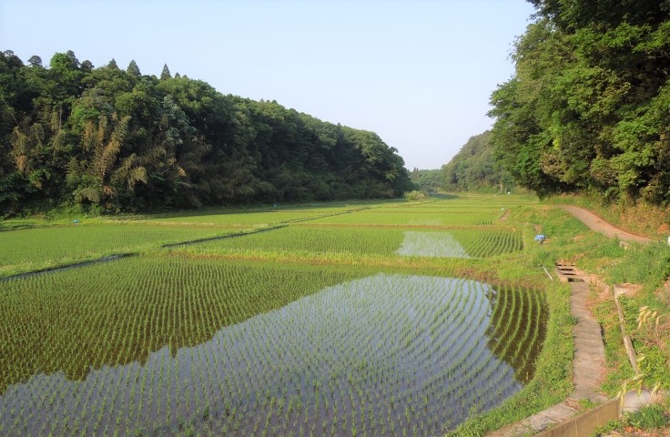 四街道自然同好会