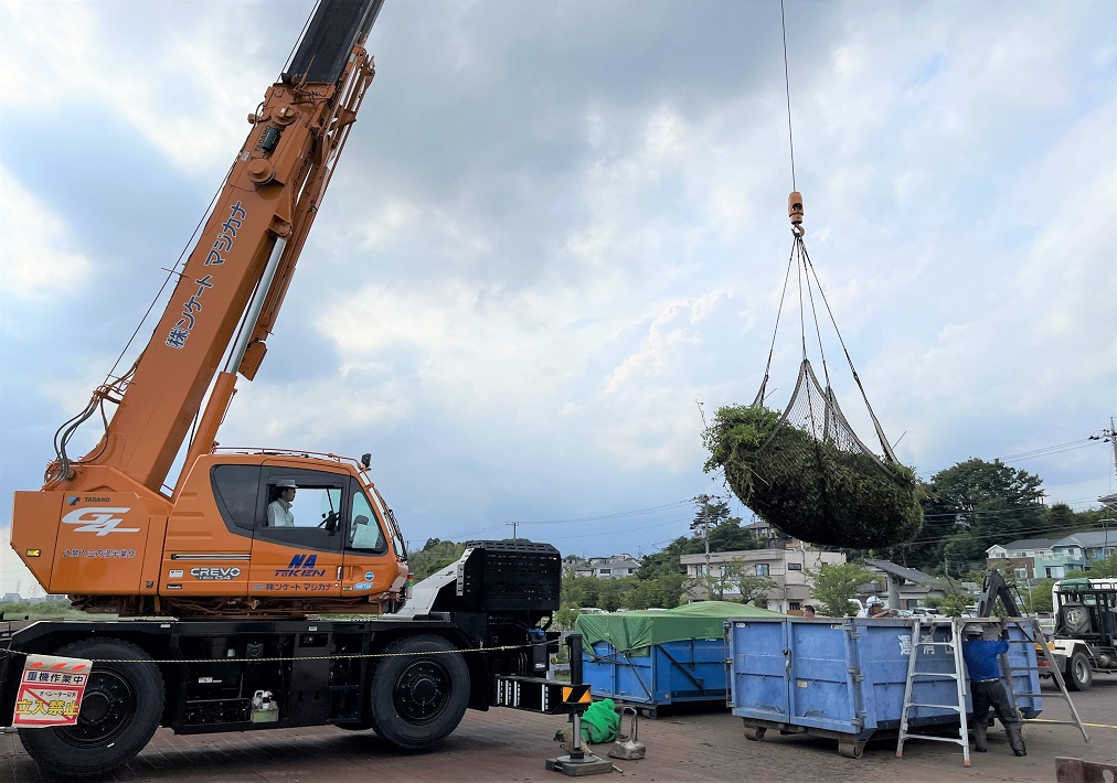 手賀沼外来水生植物駆除の作業現場