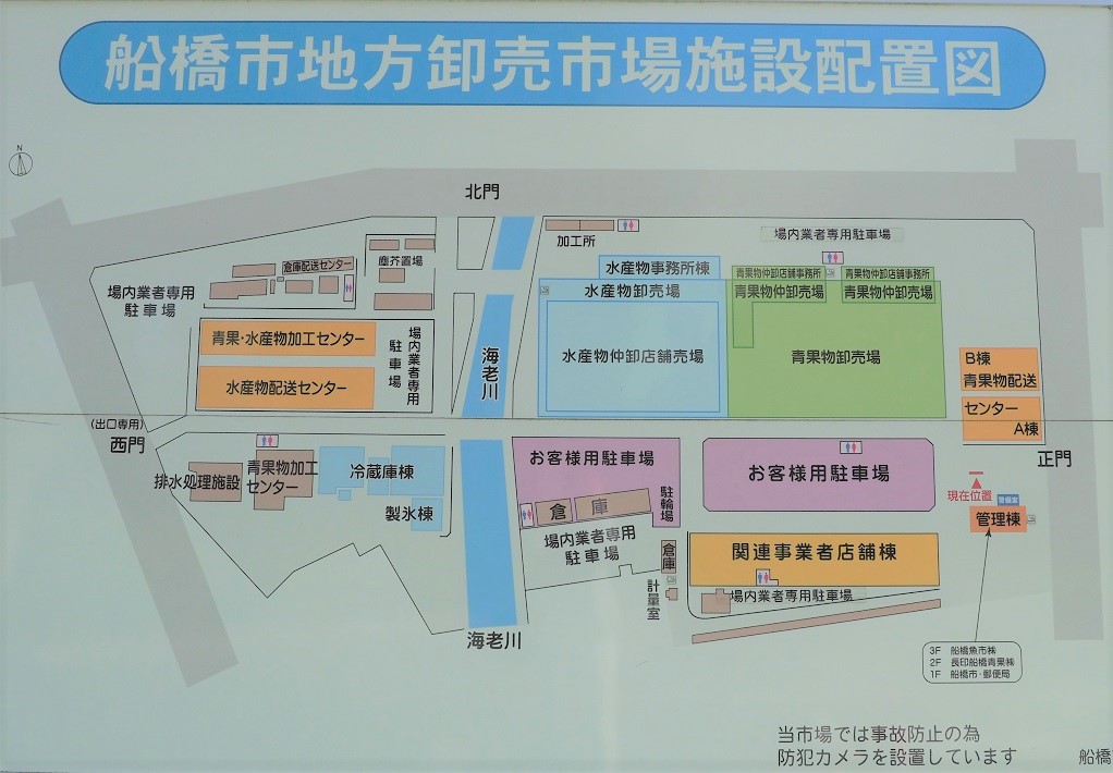 船橋市地方卸売市場施設案内