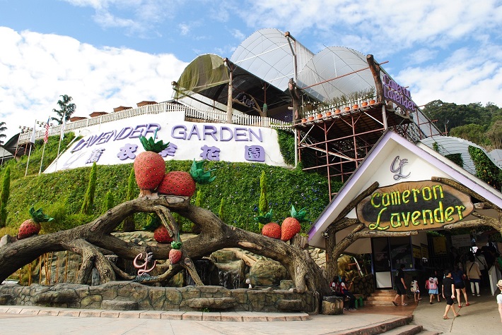 キャメンロン・ハイランド