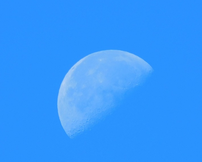 朝の半月