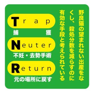 【八千代市】一般社団法人 Hug Ku-Me理事の牛島加代さん
