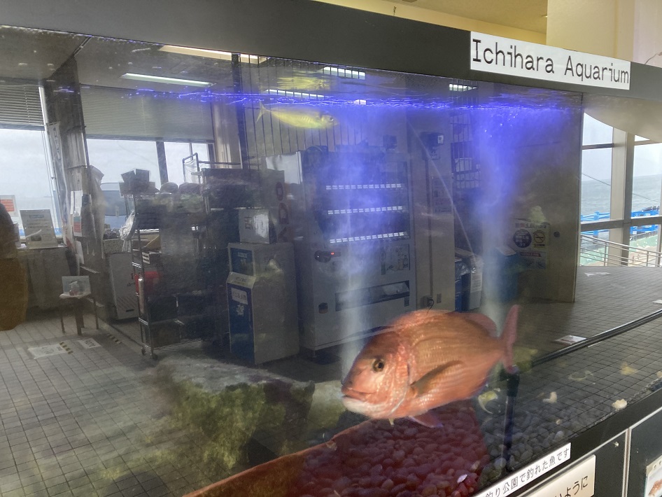 【市原市】手軽に海釣りが楽しめる！オリジナルメーカー 海づり公園