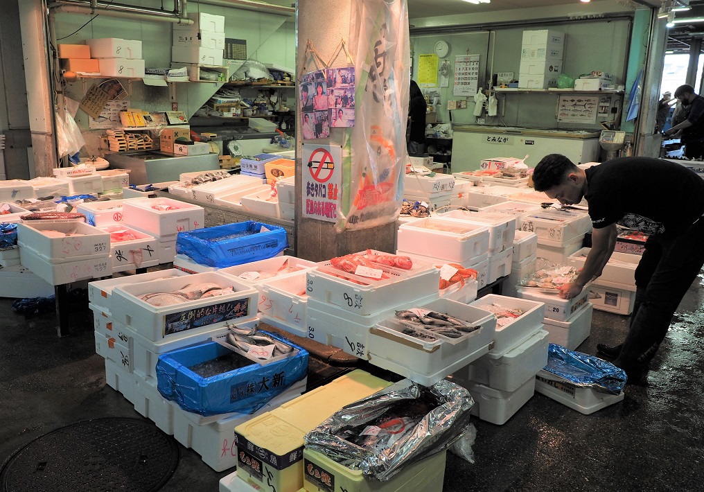 船橋市地方卸売市場見学ツアー　仲卸店舗のたくさんの魚
