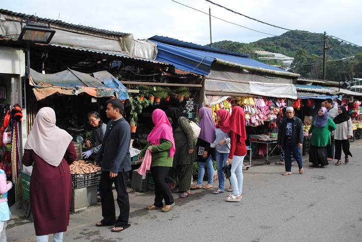 キャメロン・ハイランド