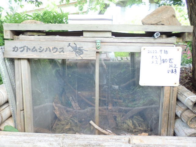 カブトムシハウス