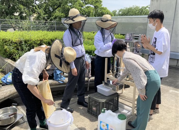 手動の遠心分離機で蜜を木枠から落とす