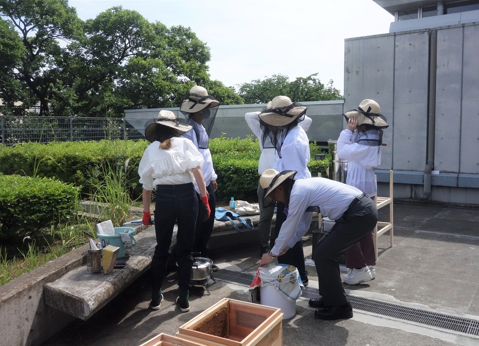 学生の養蜂作業