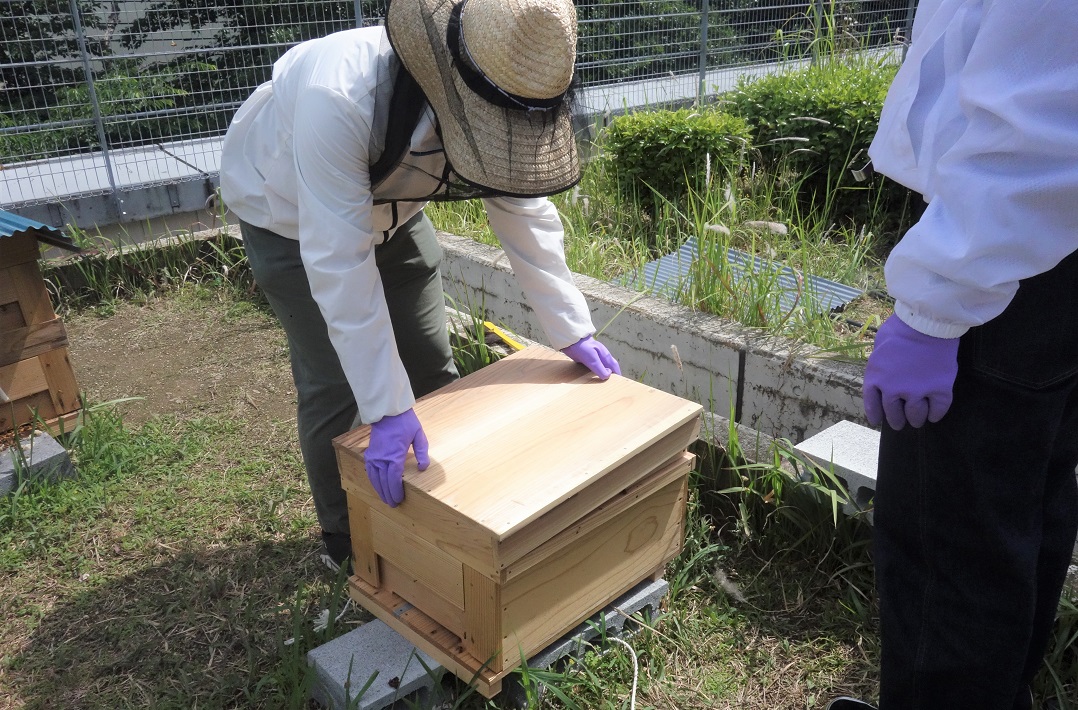 学生の養蜂作業