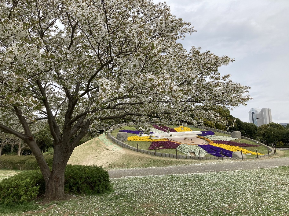 【千葉市】幕張海浜公園で思いっきり外遊び！「わんぱく広場」