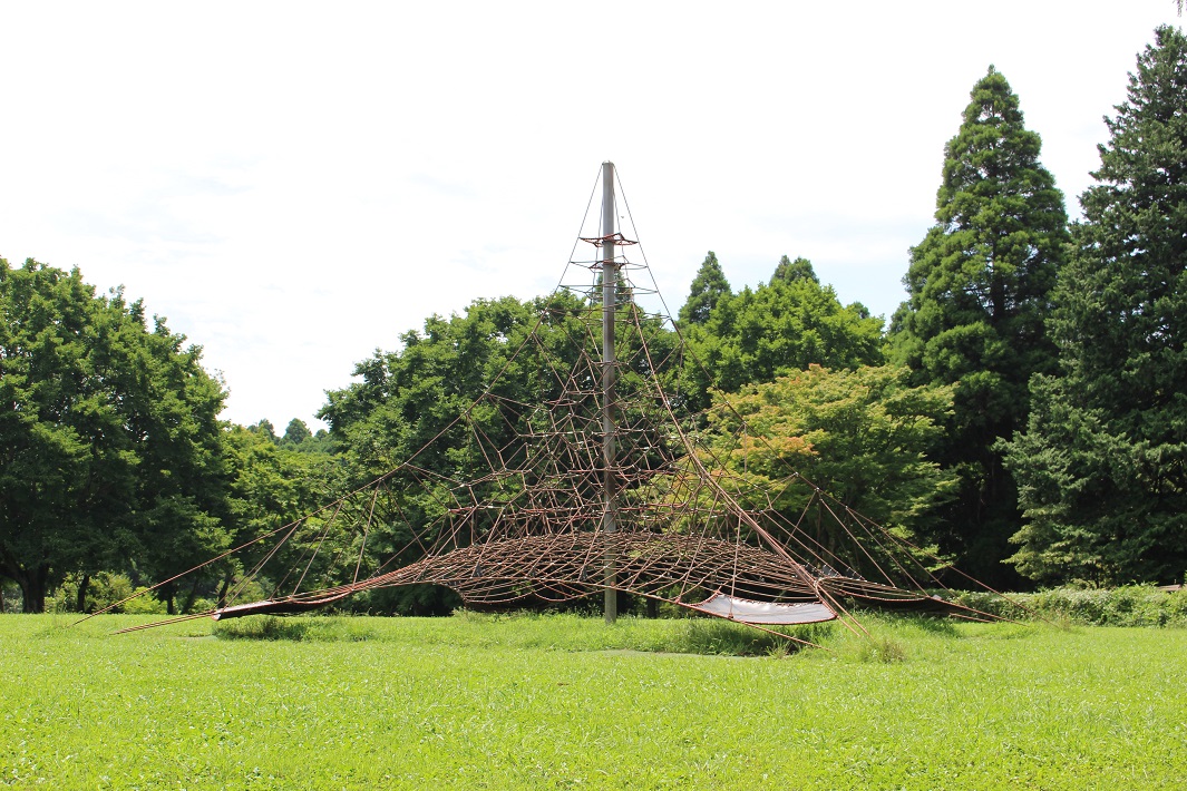 千葉県最長109m!昭和の森のローラー滑り台に挑戦してきた【口コミ体験談】