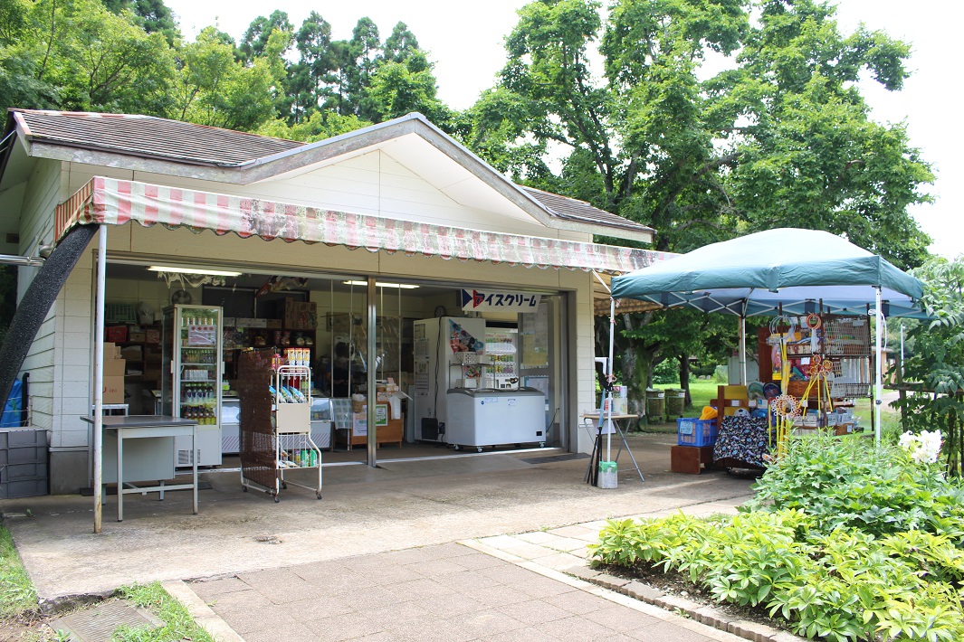 千葉県最長109m!昭和の森のローラー滑り台に挑戦してきた【口コミ体験談】