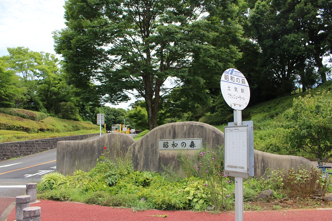 千葉県最長109m!昭和の森のローラー滑り台に挑戦してきた【口コミ体験談】