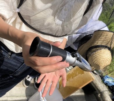 糖度計で蜂蜜の糖度を測定
