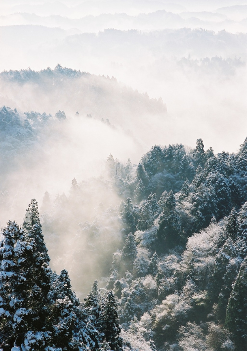 7. 【市原市】大福山（だいふくざん）低山ながら山頂からの眺めは抜群！ 紅葉の名所に続くハイキングコースも人気