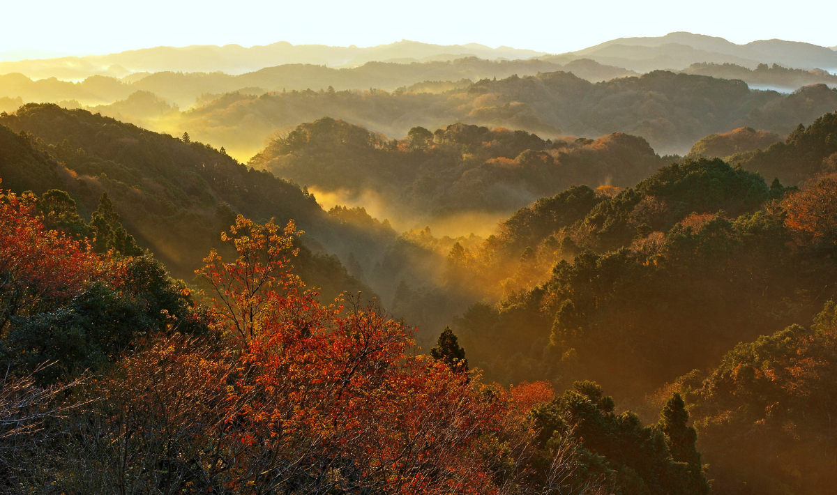 7. 【市原市】大福山（だいふくざん）低山ながら山頂からの眺めは抜群！ 紅葉の名所に続くハイキングコースも人気