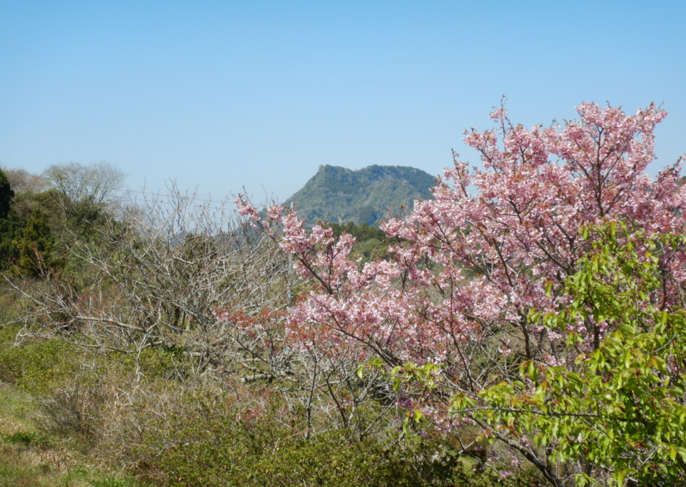 6．【南房総市】御殿山（ごてんやま）バス停からのアクセス良好！ 近隣の山と縦走も簡単