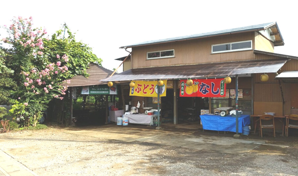 松戸市・初清園　90分の食べ放題が人気！ 巨峰やシャインマスカットも
