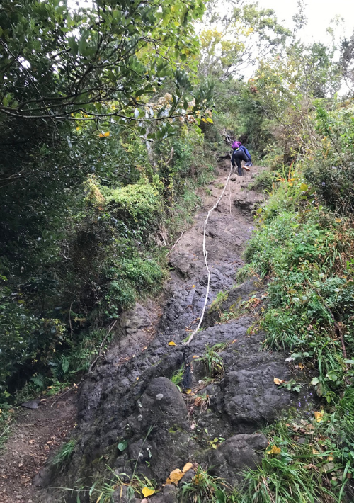 4. 【南房総市】伊予ヶ岳（いよがたけ）頂上近くに鎖場があり、低山ながら本格的な登山が味わえる 