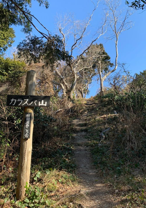 3. 【南房総市】烏場山（からすばやま）新日本百名山の1つ！花嫁街道は人気のハイキングコース