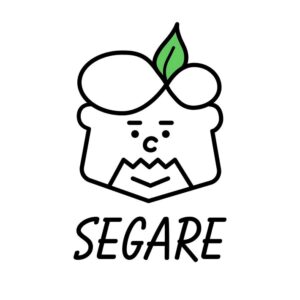 チームSEGARE
